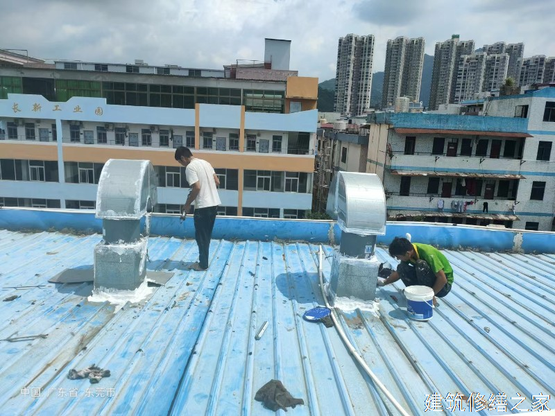 滁州2026明光市 彩钢瓦屋面防水 排名前十的源头厂家